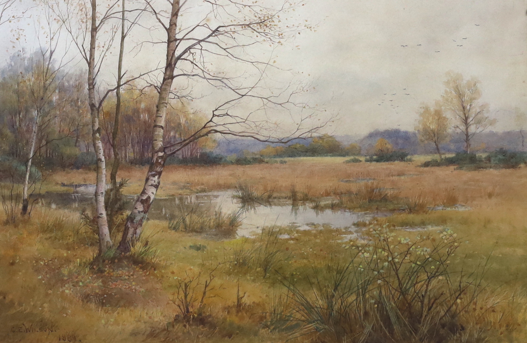 Charles Edward Wilson (1854-1941), watercolour, Landscape with birch trees, signed and dated 1889, 32 x 48cm